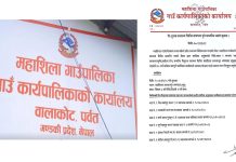 महाशिला गाउँपालिकामा वृहत निशुल्क स्वास्थ्य शिविर हुने
